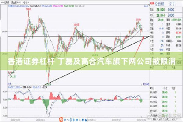 香港证券杠杆 丁磊及高合汽车旗下两公司被限消