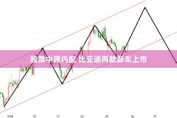 股票中原内配 比亚迪两款新车上市