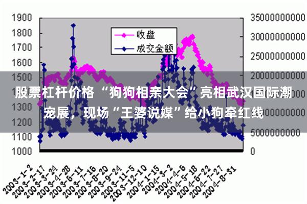 股票杠杆价格 “狗狗相亲大会”亮相武汉国际潮宠展，现场“王婆说媒”给小狗牵红线