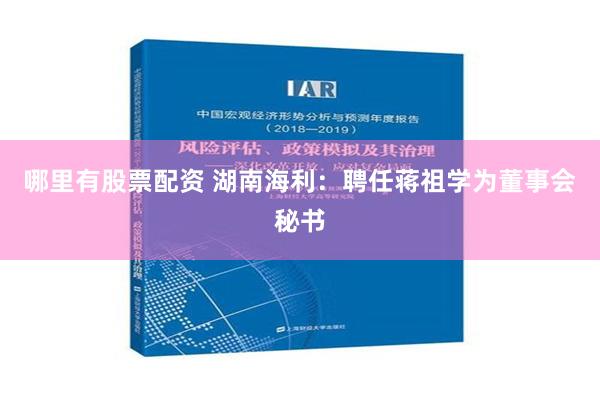 哪里有股票配资 湖南海利：聘任蒋祖学为董事会秘书