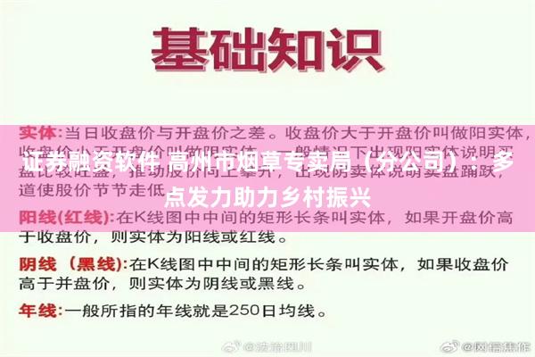 证券融资软件 高州市烟草专卖局（分公司）：多点发力助力乡村振兴