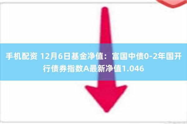 手机配资 12月6日基金净值：富国中债0-2年国开行债券指数A最新净值1.046