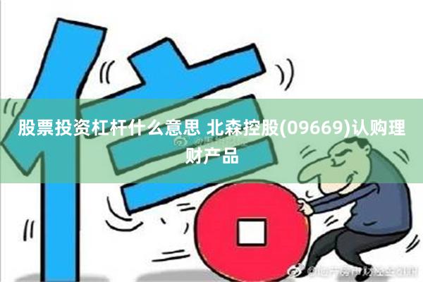 股票投资杠杆什么意思 北森控股(09669)认购理财产品