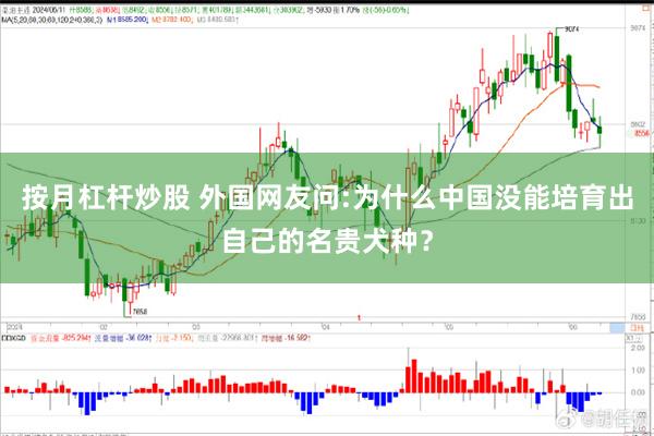 按月杠杆炒股 外国网友问:为什么中国没能培育出自己的名贵犬种？